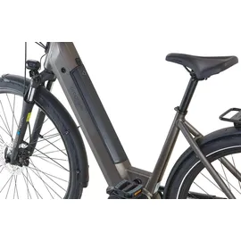 Prophete Geniesser 3.3 28 Zoll RH 48 cm Matt Bronze