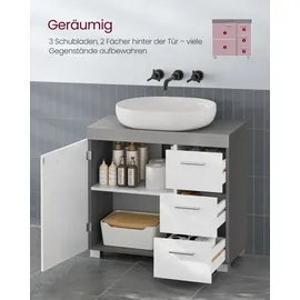 VASAGLE Waschbeckenunterschrank 2 Fächer hinter der Tür