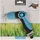 PROGARDEN Gartenspritzpistole multifunktional 10 Modi blau
