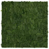 XXXLutz Wandpaneel Modular Wall 52 x 52 cm dark green