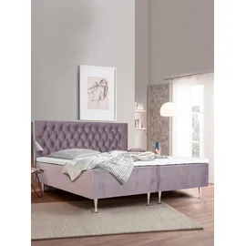 Home Affaire Exclusive 141 x 208 cm lila