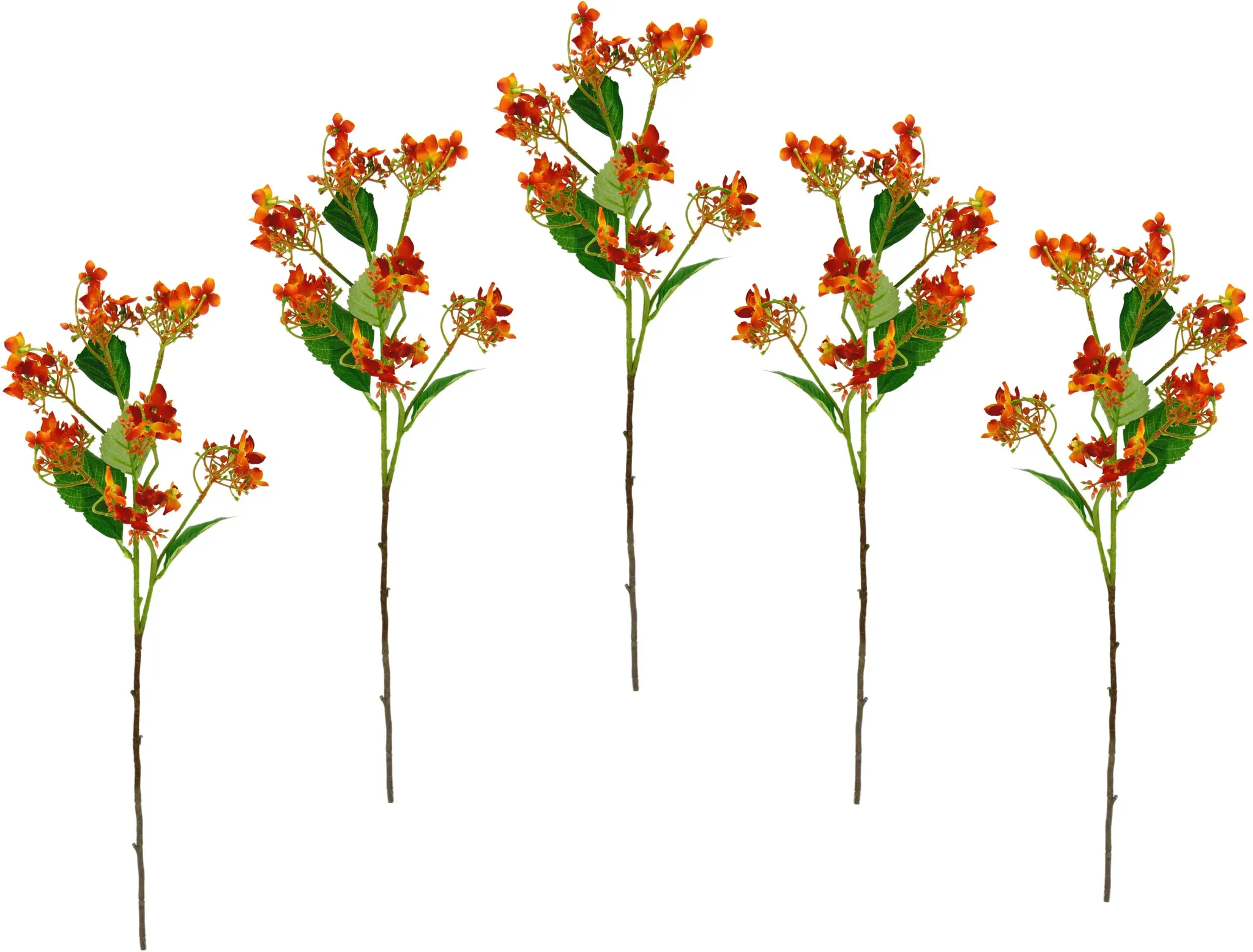 Kunstblume I.GE.A. 