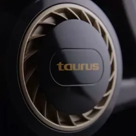 Taurus Alpatec Taurus Homeland Endless - 3-in-1 Staubsauger mit Zyklon | Handstaubsauger | Staubsauger | Stielstaubsauger | 6 m Kabel | 600 W | Aufsatz für alle Oberflächen geeignet | Schwarz