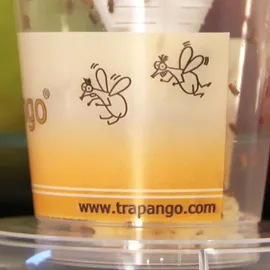 MACUR GmbH Trapango Fruchtfliegenfalle Lebendfalle 2 x