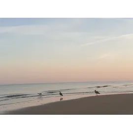 Ravensburger 22412 GraviTrax Element Looping