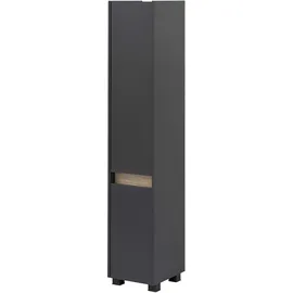 Schildmeyer MÖBELPARTNER Badschrank Cosmo 146322 anthrazit 30,2 x 33,0 x 164,5 cm