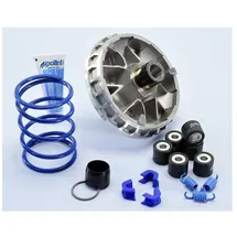 Polini kids Variomatik Hi-Speed für SYM Joymax-Cruisym 250/300