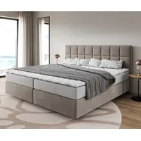 DeLife Boxspringbett Dream-Fine Mikrofaser Beige 200x200 cm mit Taschenfederkernmatratze