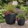 Prosperplast Oro 29 x 29 x 27 cm Dunkelgrau