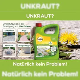 Solabiol Grundstoff Acetum, 3 Liter