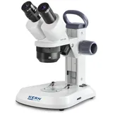 Kern Stereomikroskop OSF 439