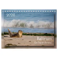 Calvendo Baltrum - Ein Tag am Strand (Tischkalender 2026