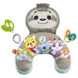 Fisher-Price Spielkissen Faultier mit Vibration, grau