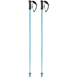 Head Worldcup Sl Skistöcke, Speed Blue/Black/White, 110