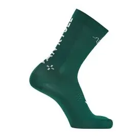 VAN RYSEL EDR Radsocken 39-42 Grün