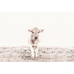 living walls Fototapete ARTist Highland Cattle, (Set, 4 St), Kuh Rind, Vlies, glatt beige