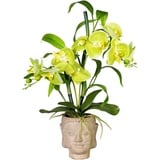 Kunstorchidee Orchideen-Bambus-Arrangement im Buddhakopf Orchidee, Creativ green, Höhe 60 cm grün