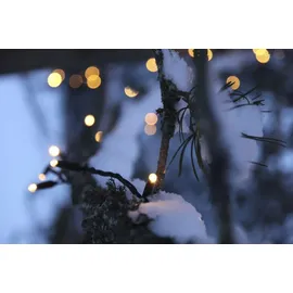 Best Season LED Lichterkette 10 m Schwarz warmweiß
