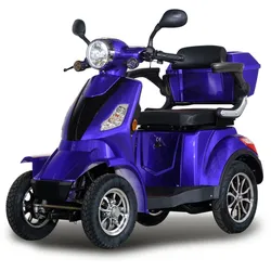 Stormborn R4 Elektromobil 25 km/h