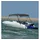 vidaXL Bimini Top 183 x 196 x 137 cm Anthrazit