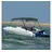 vidaXL Bimini Top 183 x 196 x 137 cm Anthrazit
