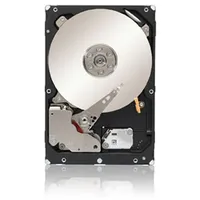 Seagate Constellation ES.3 3TB (ST3000NM0033)