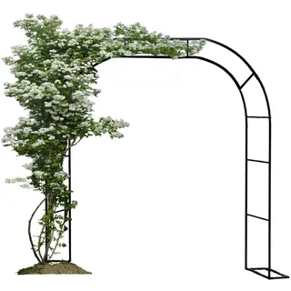 80-350 cm Breite Rosenbögen Gartenbogen Rankgitter Torbogen für Kletterpflanzen und Rosen Pergola Blumen Rankhilfe Hochzeit Deko Rosengestell Schwarz (Größe : 350 x 240cm)