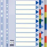 Esselte Kunststoff-Register, blanko, A4, PP, 10-teilig mehrfarbig, 0,12 mm, farbige Taben mit beschriftbarem (15261)