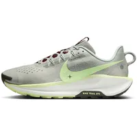 Nike Pegasus Trail 5, Traillaufschuh Herren - Grau, 42