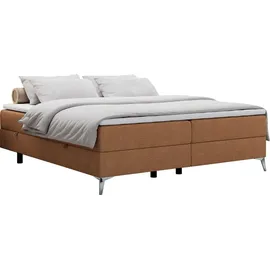 MKS Meble Boxspringbett ohne Kopfteil mit Bettkasten, Bett niedriges Kopfteil, Polsterbett ohne Kopfteil - LESS - 140x200cm - Orange - H4 - Orange
