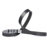 DAYCO Keilrippenriemen