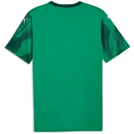 Puma teamFINAL Graphic+ Sport Green/Puma White/Dark Myrtle XXL