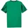 Puma teamFINAL Graphic+ Sport Green/Puma White/Dark Myrtle XXL