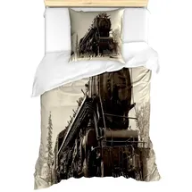 ABAKUHAUS Bettwäsche Milbensicher Allergiker geeignet mit Kissenbezug, Microfaser, Dampfmaschine Antik Zug Kunst grau|schwarz