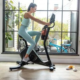 Schwinn 590U grau