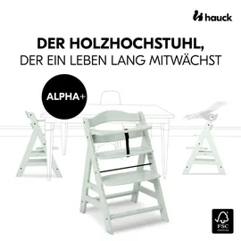 hauck Alpha+ mint