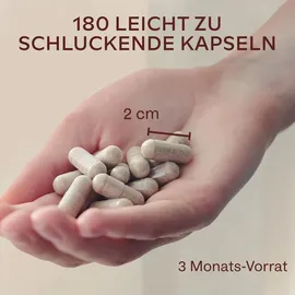 Boma-Lecithin Aavalabs Vitamin C Acerola Camu-Camu Hagebutte Kps