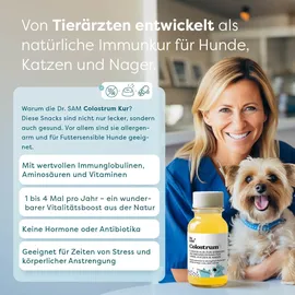 dr. sam Colostrum Kur zur Stärkung des Immunsystems 125 ml