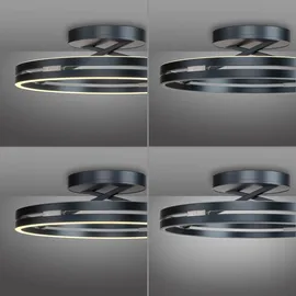 Pure LOOP 3 Aluminium/grau
