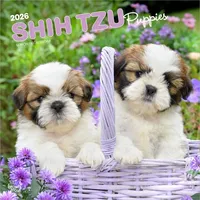 Browntrout Verlags GmbH Shih Tzu Puppies – Shih Tzu