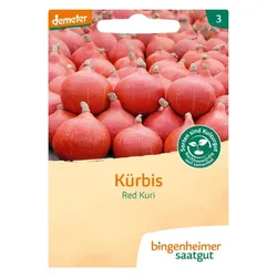 Bingenheimer Saatgut Hokkaido Kürbis Red Kuri