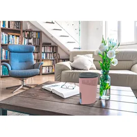 Wenko Drop Rosa 1000 g 2er Set Raumentfeuchter Mod.