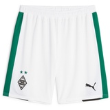 Puma Puma, BMG Shorts CB Replica puma white-power green L