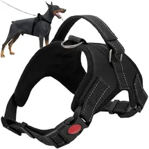 Iso Trade 16149 Hundegeschirr Schwarz L