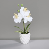 Mini Orchidee Real Touch 24cm im weißen Keramiktopf DP künstliche Blumen Orchideen Kunstpflanze (Weiß)