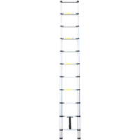 Craftfull Teleskopleiter 3.8 m 13 Sprossen inkl. Tragetasche