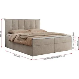 MKS Meble Boxspringbett 180x200 mit Bettkasten und Matratze H4, Polsterbett 180x200 mit Bettkasten, Bett 180x200 mit Stauraum und Topper - Premium-... - Beige