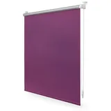 Lichtblick Thermo-Rollo Klemmfix 60 x 220 cm fuchsia