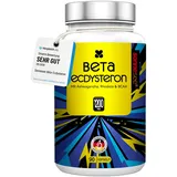 Beta-Ecdysteron-haltiger Pflanzenextrakt 1200 mg – Mit Ashwagandha, Rhodiola & BCAA – 90 Kapseln – Hochdosiert, Vegan, Laborgeprüft