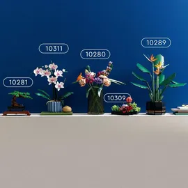 LEGO Botanicals Creator Expert Sukkulenten 10309